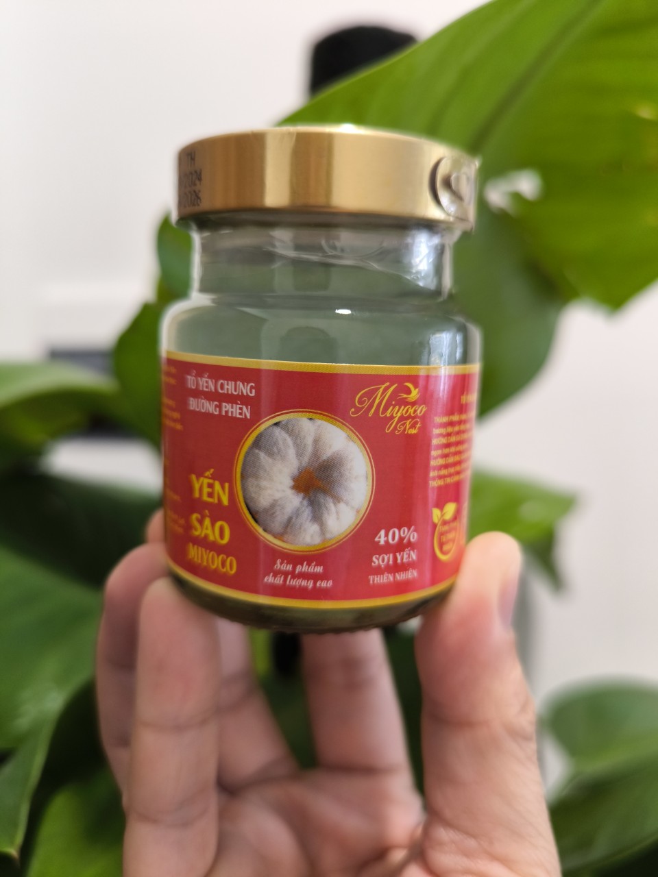 Kinh doanh yến cho làm đẹp