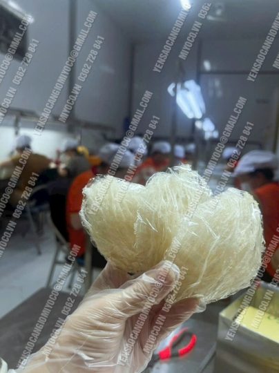 Yến cần giờ - loại sợi mỏng - giá tốt - Ảnh 5