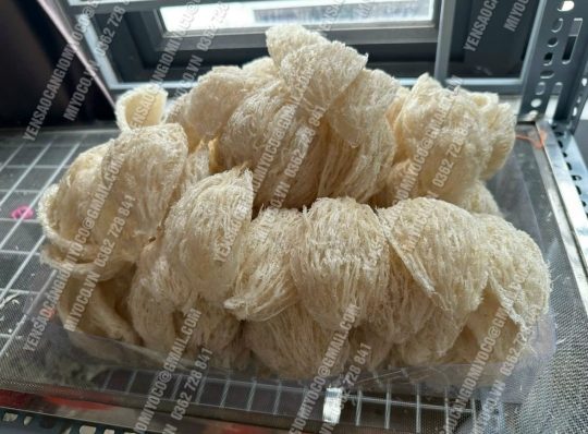 Yến tinh chế sợi dày - nhiều sợi - yến cao cấp - Ảnh 2