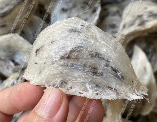 Yến rút lông xương - cần giờ - tổ đẹp nhất - Ảnh 8