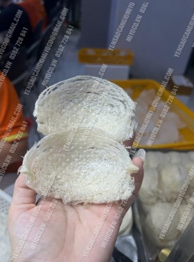 Yến rút lông xương - cần giờ - tổ đẹp nhất - Ảnh 10