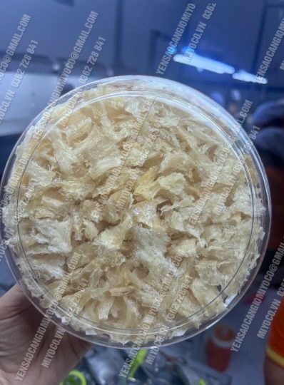 Chân yến - Chân rìa lớn nhiều sợi - cần giờ - Ảnh 3