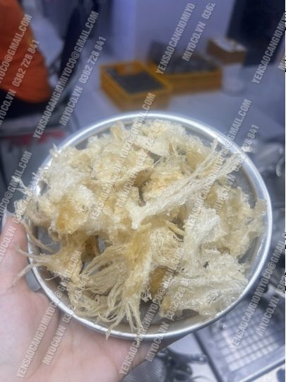Chân yến - Chân rìa lớn nhiều sợi - cần giờ - Ảnh 6