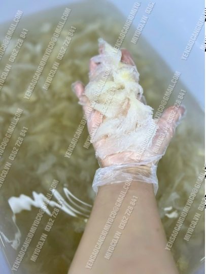 Cách bảo quản yến sào đúng cách