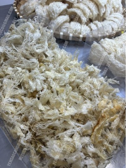Chân yến Cần Giờ rìa nhỏ giòn sực ngon - Ảnh 10