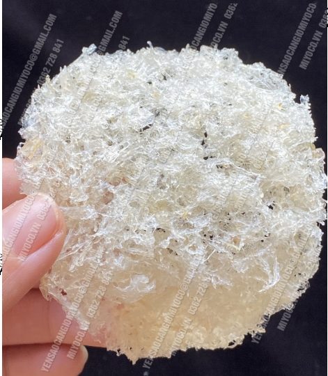 Yến tinh chế - Yến xơ mướp - bụng yến - Ảnh 3