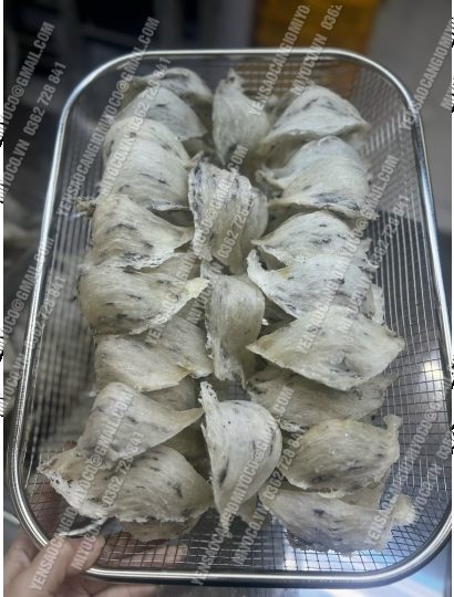 Yến Nguyên Tổ Rút Lông Đẹp - Ảnh 6