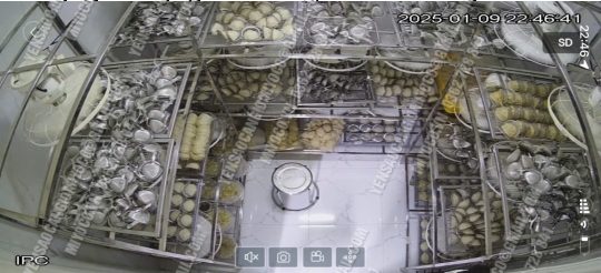 Chân yến - Chân rìa lớn nhiều sợi - cần giờ - Ảnh 12