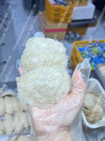 Yến tinh chế - Yến xơ mướp - bụng yến - Ảnh 5