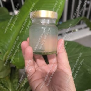 Yến hũ đường phèn 18% sợi yến Cần Giờ