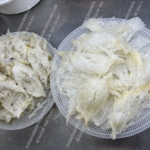 Tổ Yến tươi Cần Giờ - Sợi dài - 500gr