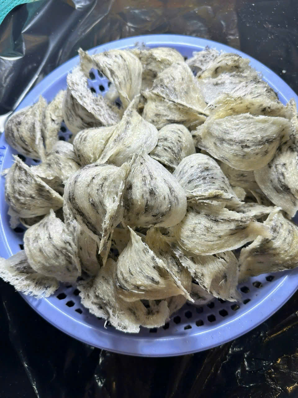YẾN SÀO CẦN GIỜ
